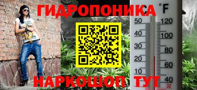 синтетический гашиш Заводоуковск