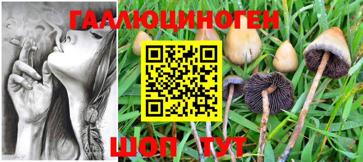 Псилоцибиновые грибы MAGIC MUSHROOMS Киров