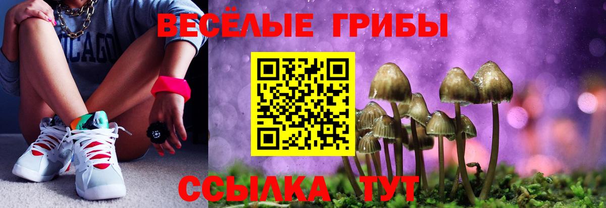 Киров  Псилоцибиновые грибы мицелий  сколько стоит  Псилоцибиновые грибы MAGIC MUSHROOMS  Вход с VPN 